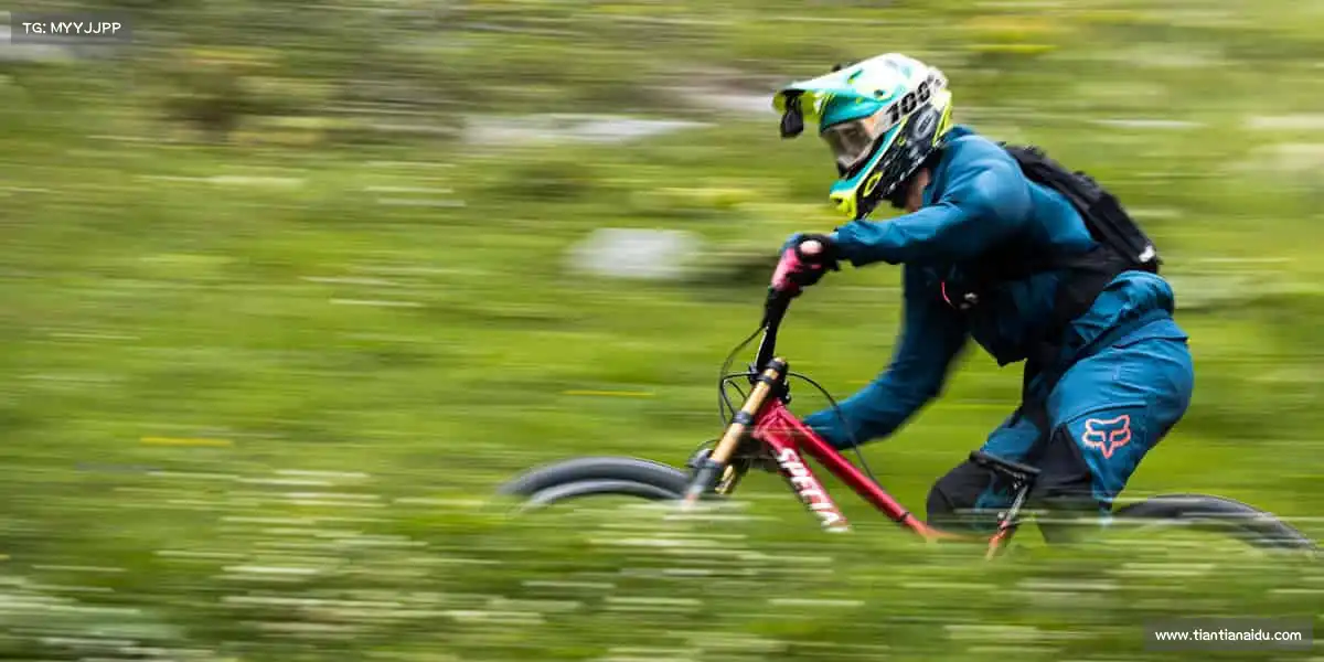 为什么选择我们